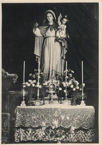 La Madonna Pellegrina